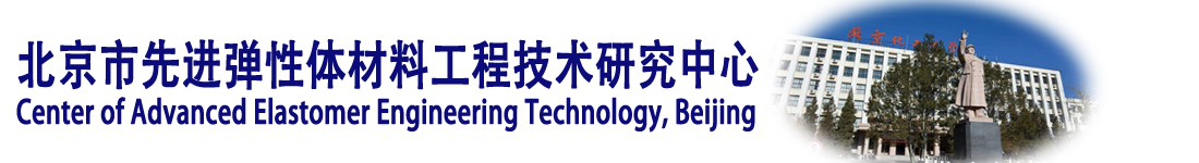 北京市先进弹性体工程技术研究中心