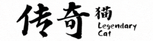 传奇猫