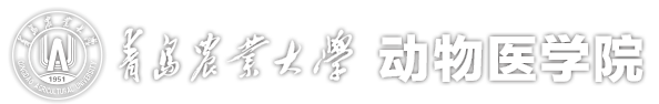 动物医学院