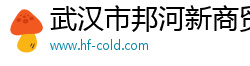 武汉市邦河新商贸有限公司