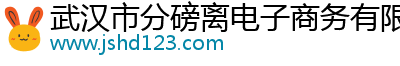 武汉市分磅离电子商务有限公司