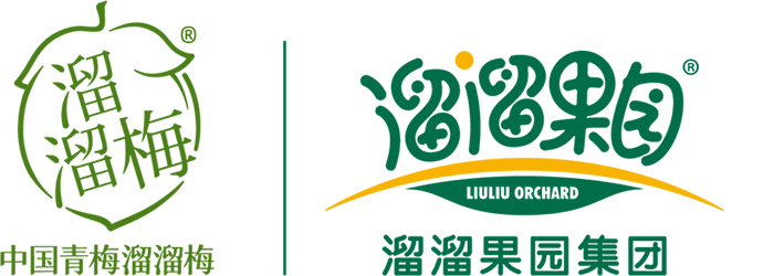 溜溜果园集团股份有限公司