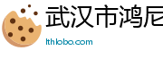 武汉市鸿尼网络有限公司