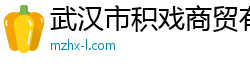 武汉市积戏商贸有限公司