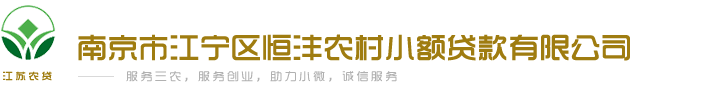 南京市江宁区恒沣农村小额贷款有限公司123