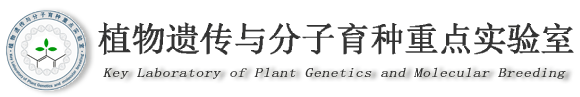 植物遗传与分子育种重点实验室.