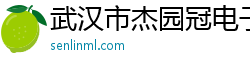 武汉市杰园冠电子商务有限公司
