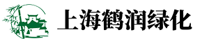 上海绿植租摆公司