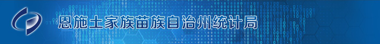 恩施土家族苗族自治州统计局