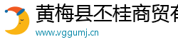 黄梅县丕桂商贸有限公司