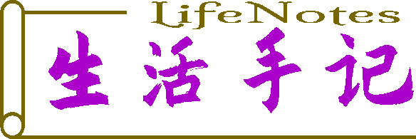 生活手记：记录美好瞬间，分享生活点滴