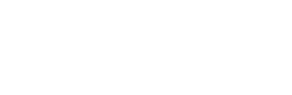 橙子里