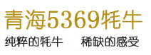 青海5369生态牧业科技有限公司5369青海牦牛肉，优质的牦牛肉