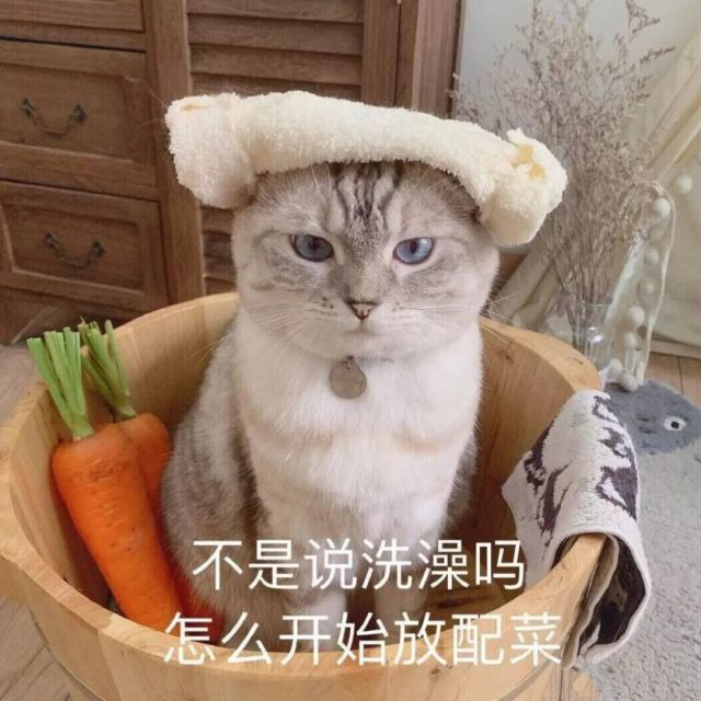 微风的个人小屋