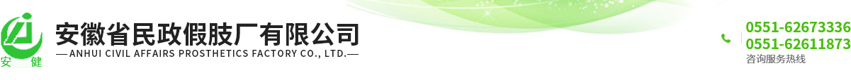 安徽省民政假肢厂有限公司
