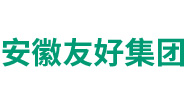 安徽友好集团