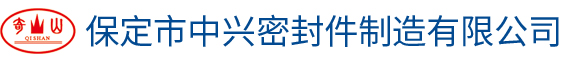 保定市中兴密封件制造有限公司