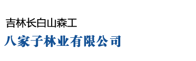 吉林长白山森工八家子林业有限公司