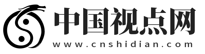 中国视点网
