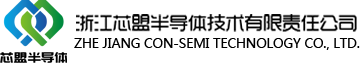 浙江芯盟半导体技术有限责任公司