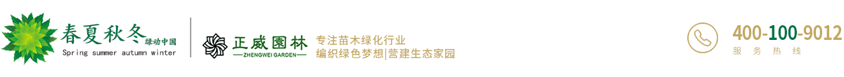 安徽春夏秋冬园林绿化有限公司