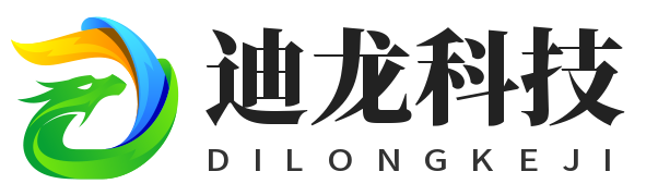 广州迪龙网络科技有限公司
