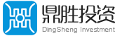 深圳市鼎胜投资有限公司