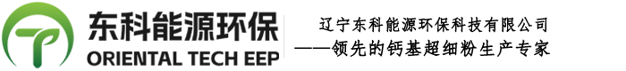 辽宁东科能源环保科技有限公司