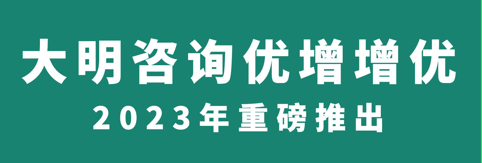 大明咨询