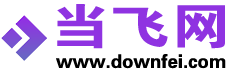 当飞网
