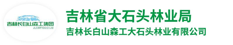 大石头林业局