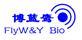 发光免疫磁珠　链亲和素磁珠