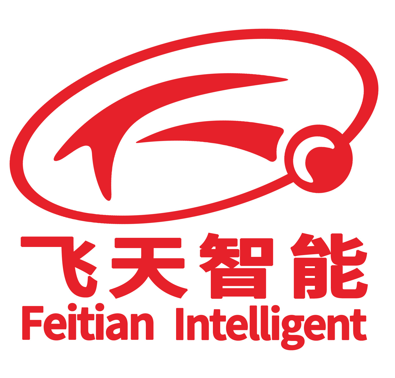 武汉飞天智能工程有限责任公司