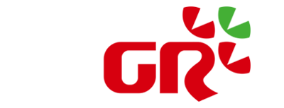 广东宏川集团有限公司