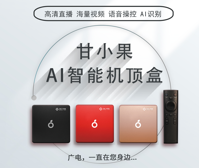 甘肃广电网络甘小果