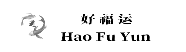 开运术高功静烎道长