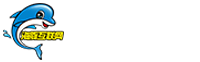 海豚互联网有限公司