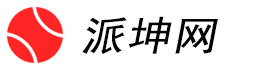 成都派坤网络科技有限公司