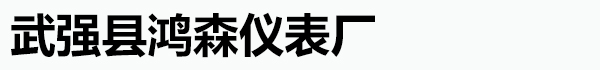 武强县鸿森仪表厂
