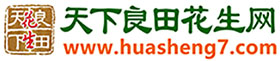 天下良田花生网