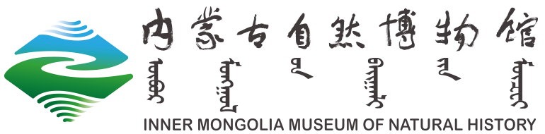 内蒙古自然博物馆