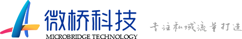 武汉微桥科技