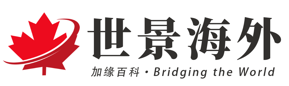 世景海外