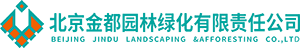 金都树网
