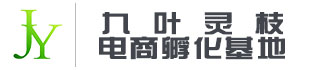 深圳市九叶灵枝电子商务有限公司