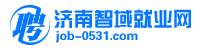 济南智域就业网