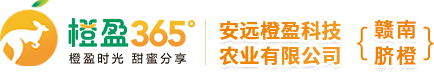 安远县橙盈科技农业有限公司