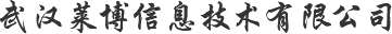 武汉莱博信息技术有限公司