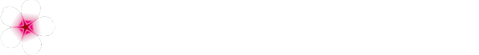 厦门风铃鸟信息科技有限公司