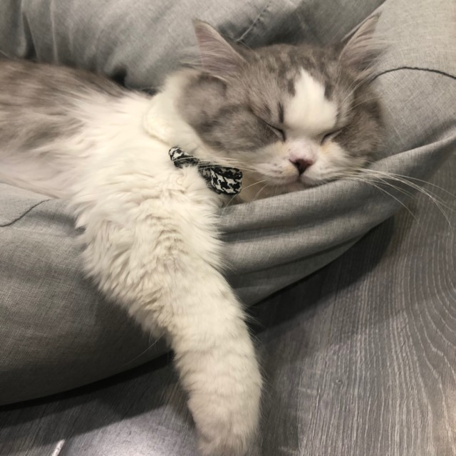 日晒瑰夏加工厂